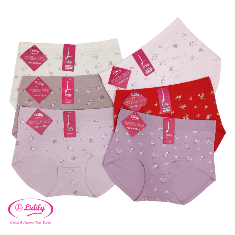 Lydyly - Celana Dalam Jumbo Fit to XXL Bundle | Panty Bahan Katun 100% | CD Jumbo Wanita Big Size Katun Celana Corset DD926 / DD5530