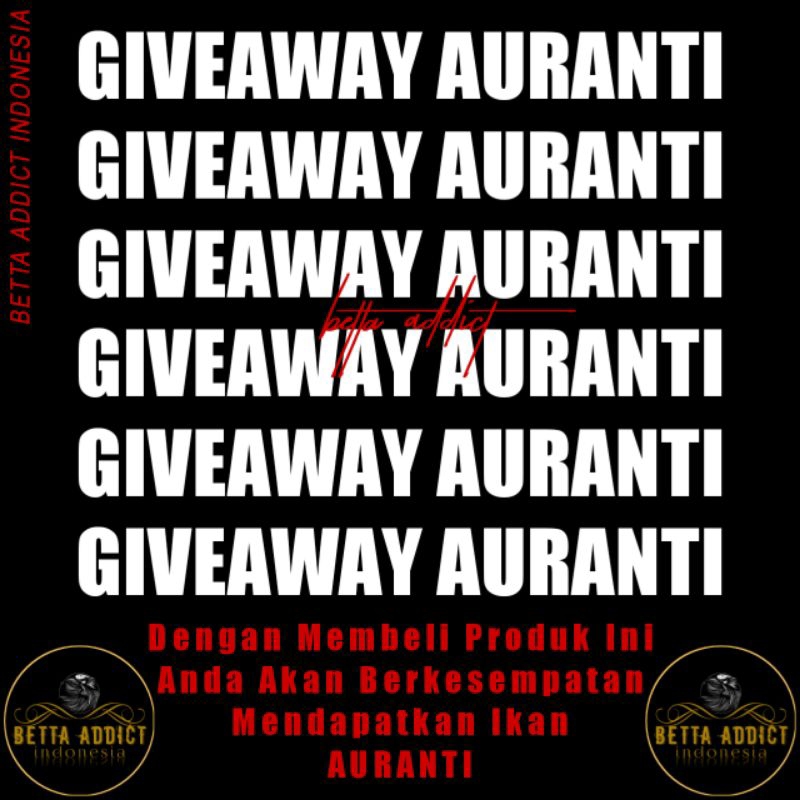 Give Away Auranti Acak Boskuh (masih 9 ekor auranti)