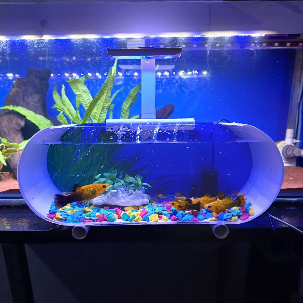 1 SET TERBARU/AQUARIUM MINI PVC/AKRILIK PLUS POMPA AERATOR DAN LAMPU LED AKUARIUM CUPANG GUPPY DEKOR