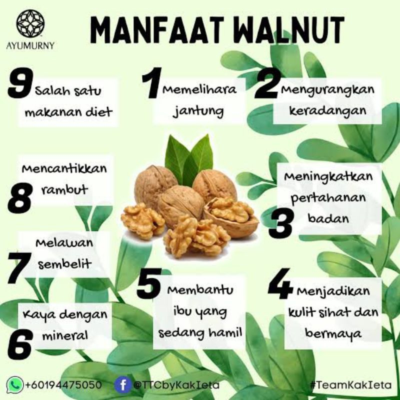 Walnut Kacang Otak Panggang / Oven /Roasted Premium Organik