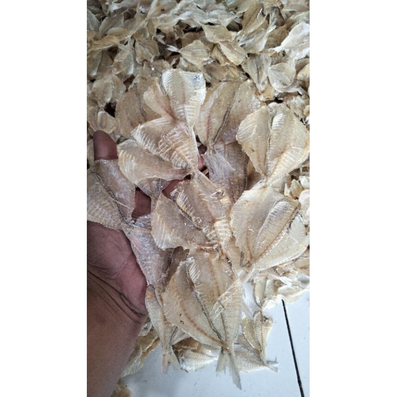 

ikan pakang/kapasan 1kg