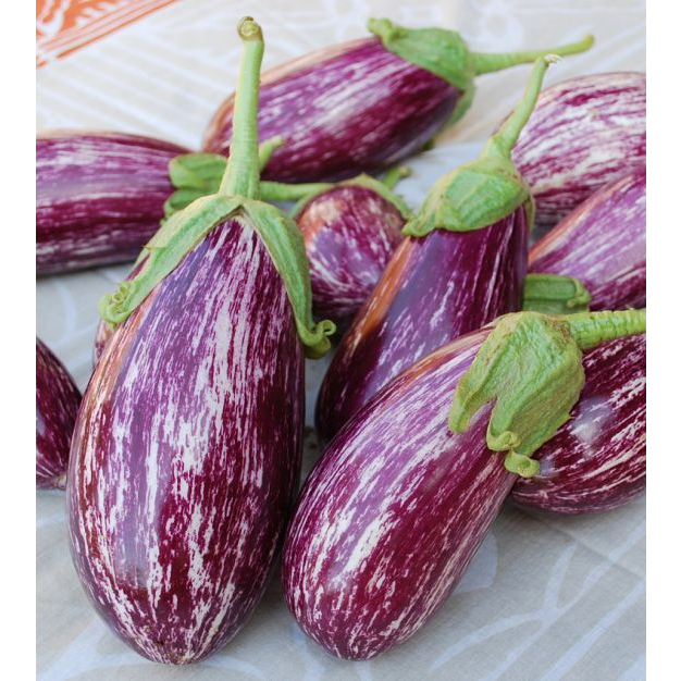 Benih Bibit Biji - Aubergine Listada De Gandia Terong Ungu Bergaris Putih Seeds - IMPORT