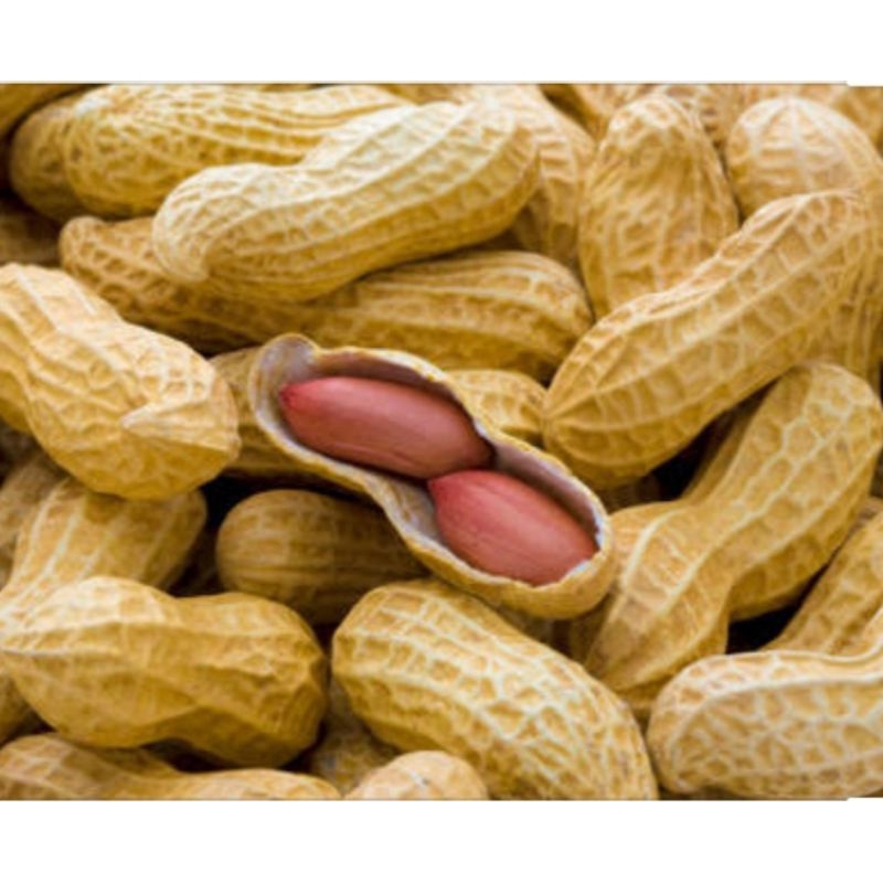 

[250gr] KACANG KULIT OVEN