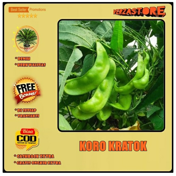 Biji Benih Kacang Roay Minti Koro Sayur Kratok Ijo Mentek / 5 biji