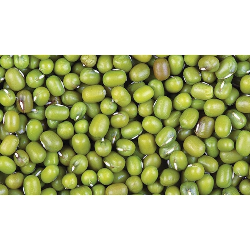 

Kacang hijau 250gr