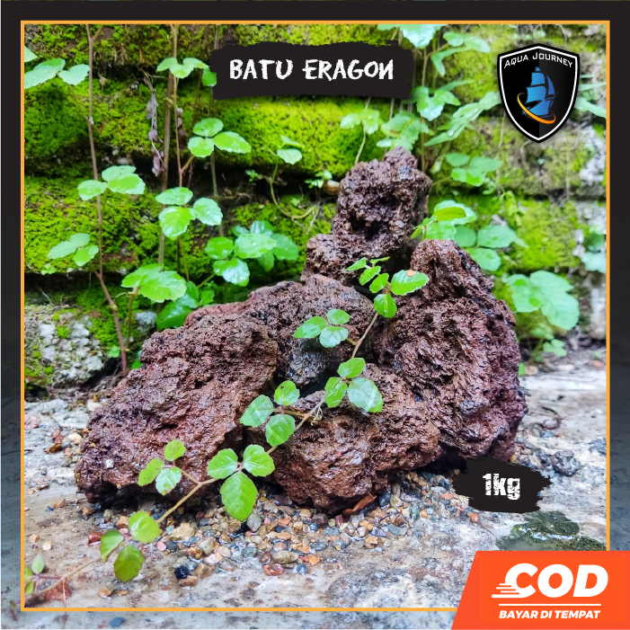 Batu Eragon - Batu Hias Aquascape