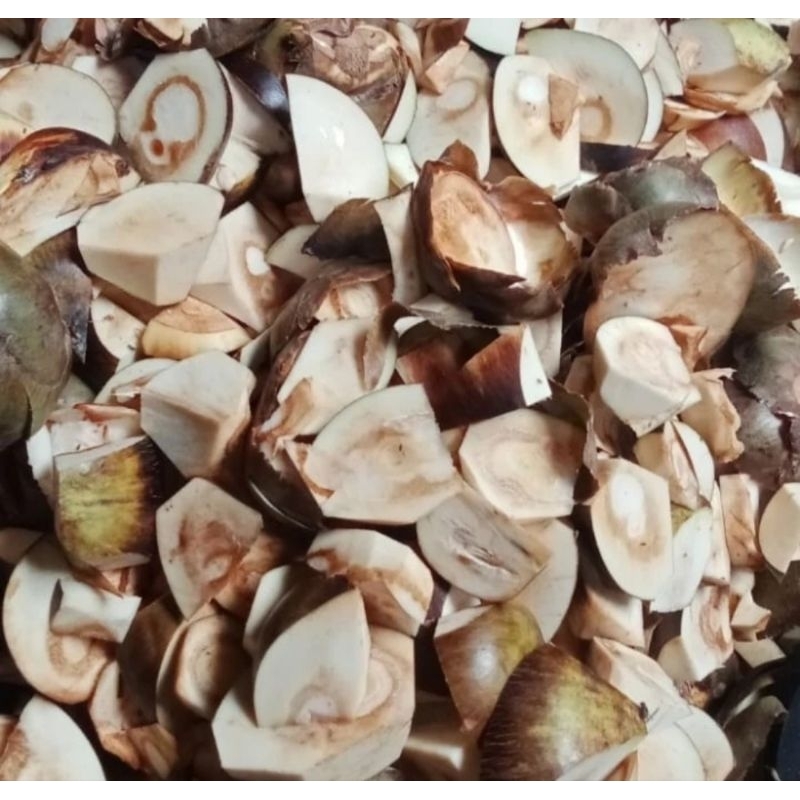 

Kulit Lontar Siwalan 1 Kg