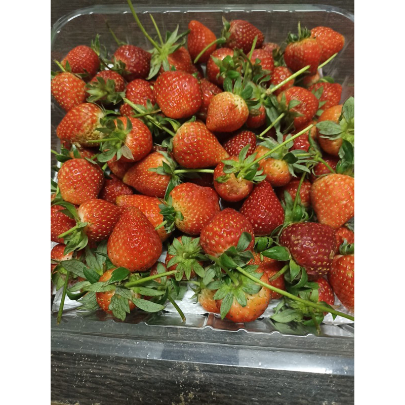 

Buah Strawberry Fresh Fruit Import Kiloan