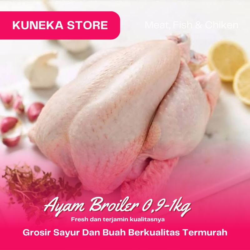 

KUNEKA AYAM BROILER 0.9-1KG SEGAR PRODUCT PILIHAN TERMURAH PROMO BERKUALITAS