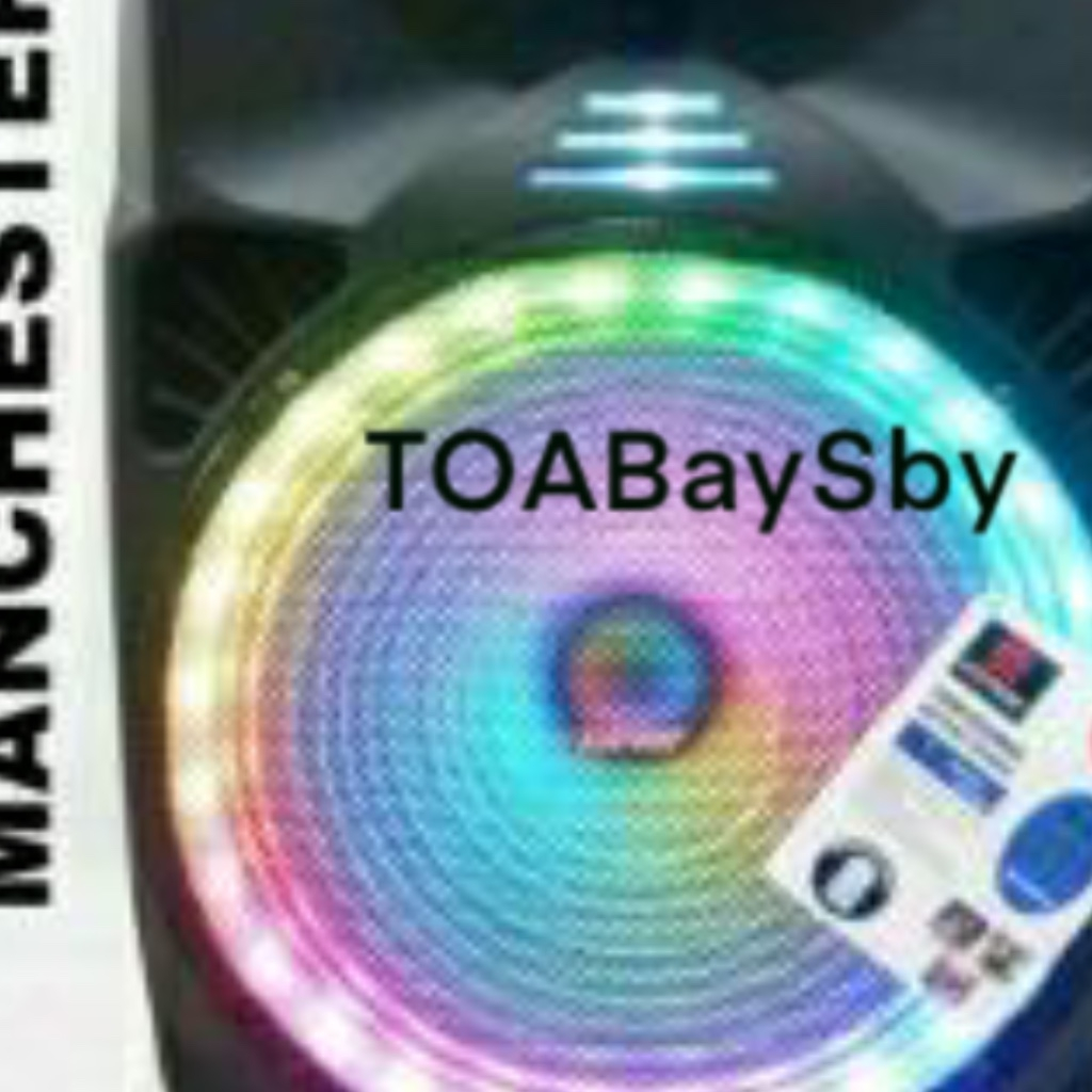 Speaker Portable Asatron New Manchester 15in