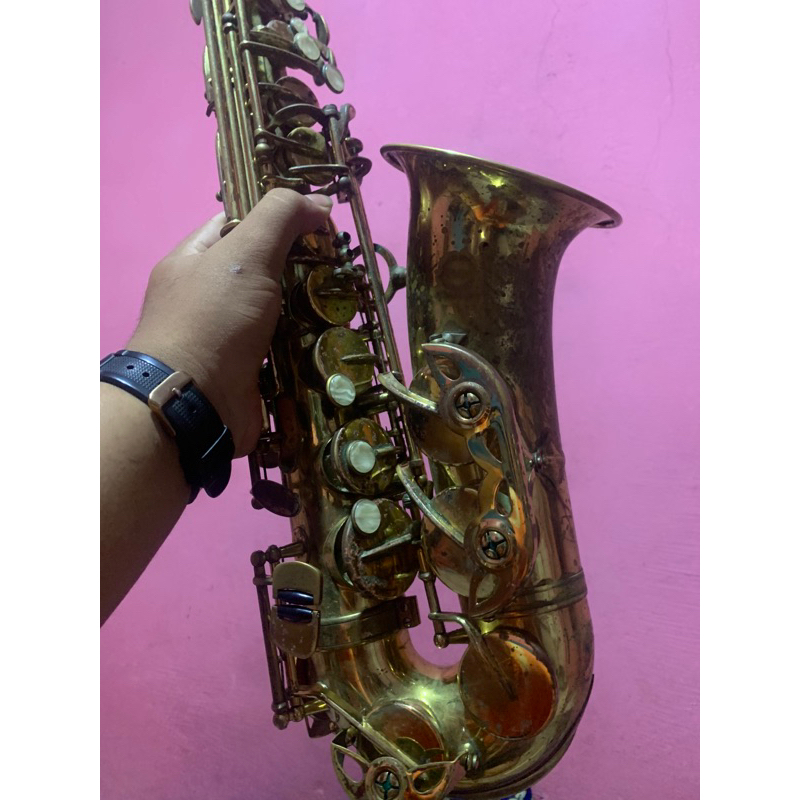 Saxophone Alto Maxtone