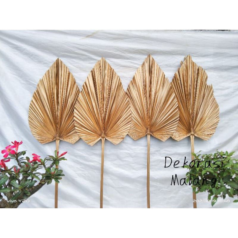 DAUN PALEM WARNA GOLD/DEKORASI RUSTIK/DAUN PALEM KERING