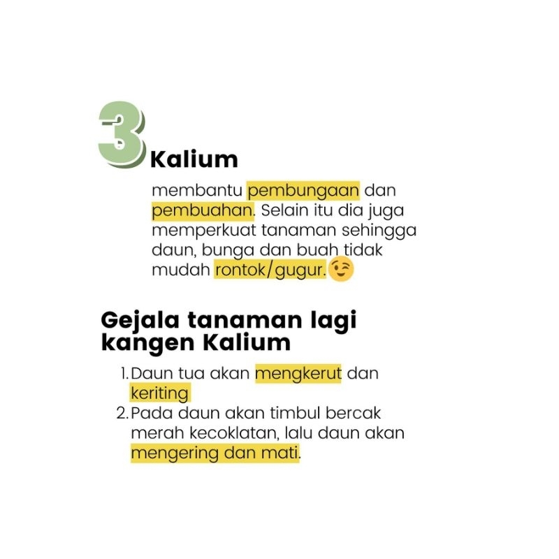 Pupuk Npk Mutiara 20 butir mempercepat pertumbuhan