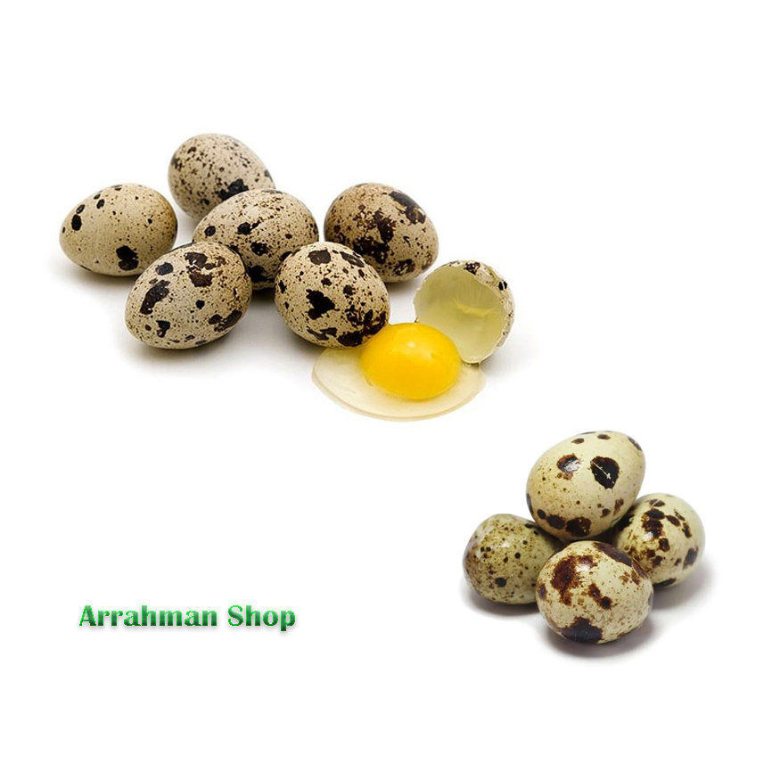 

Telur puyuh Matang - Telur Puyuh Fresh Segar Tinggal Makan