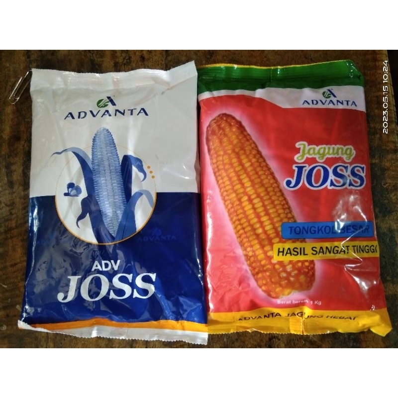Benih jagung ADV JOSS