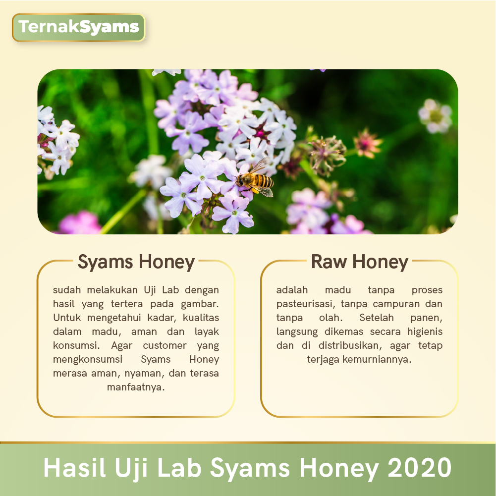 Ternak Syams -  Honey Madu Murni 1 KG 1000 gram Multiflora Kaliandra Akasia Raw Organik Pure Natural Original Asli Halal BPOM tanpa campuran gula Mentah kiloan termurah terjangkau Klenceng Kopi Randu Odeng Uray Tava Madu Putih Hitam Kayu Putih Hutan Sumat