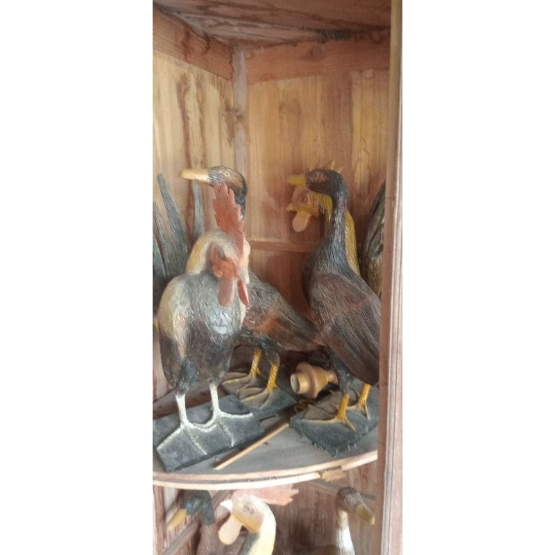 Patung ayam kayu jati 40 cm