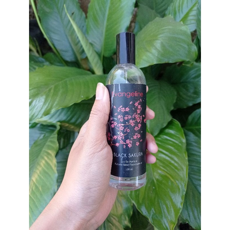 evangeline parfum black sakura