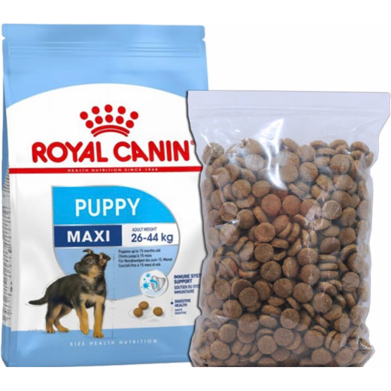 Royal Canin Maxi Junior / Puppy Maxi 15 Kg Gosend