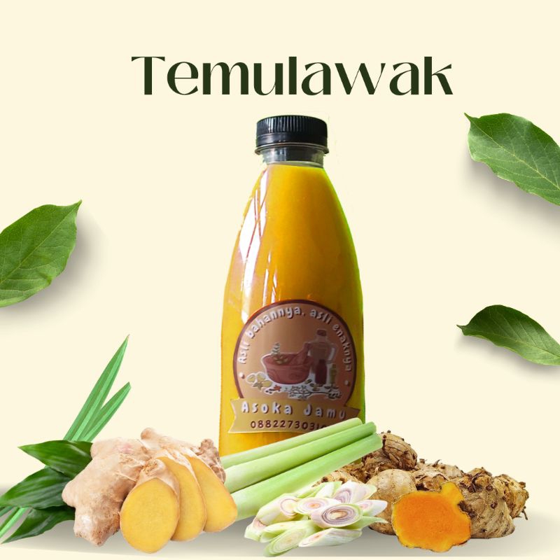 

Jamu Temulawak