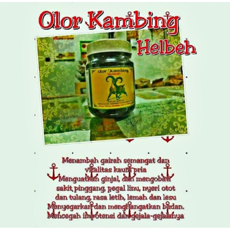 jamu olor kambing Madura asli