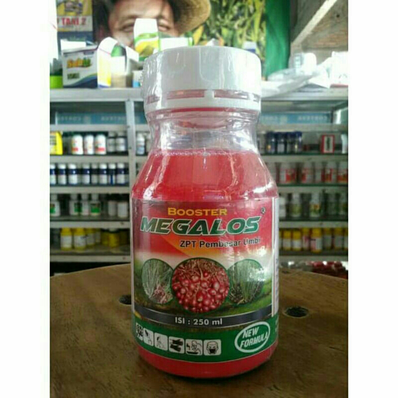 obat pertanian BOSSTER umbi bawang merah 250ml