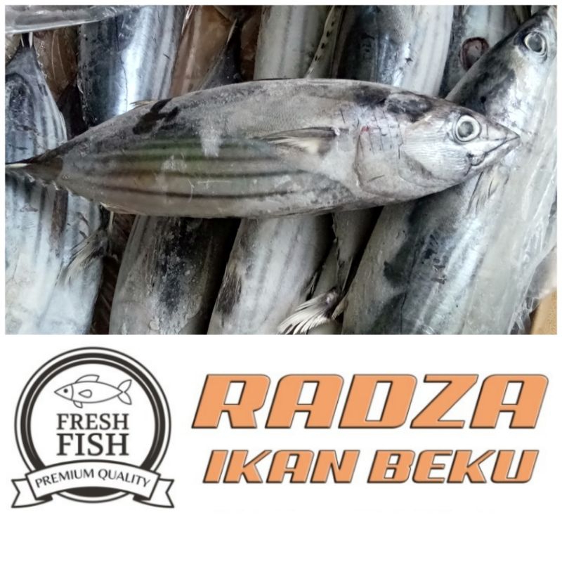 

IKAN CAKALANG BEKU 1KG