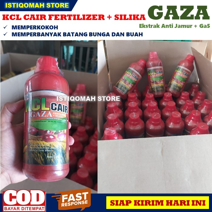 PUPUK ANAKAN PADI Biar Banyak Pupuk KCL GAZA 500ML Pupuk Ajaib Perbanyak Anakan Padi yang Bagus dan Ampuh, Pupuk Semprot untuk Memperbanyak tumbuhnya Anakan Padi Terbaik, Pupuk Padi untuk Anakan Padi yang Tokcer TERLARIS