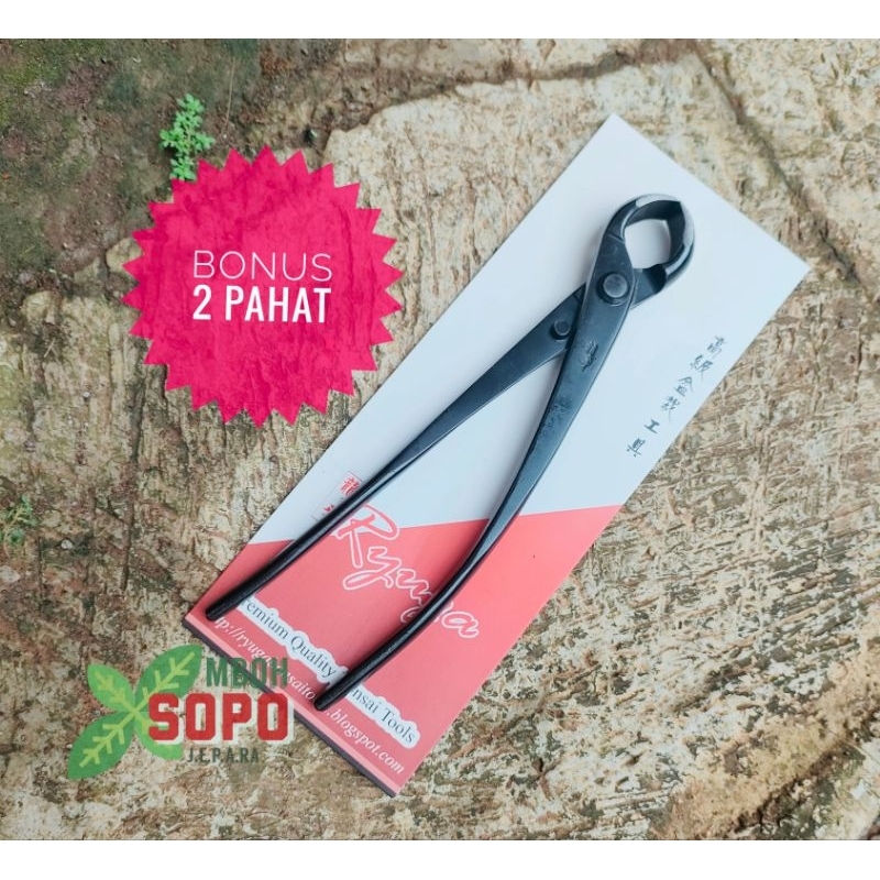 Shopritz Alat Bonsai, Catok Cembung Ryuga Carbon Original, 21 Cm Rc 08