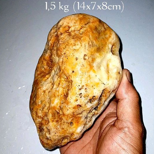 batu fosil mani gajah kristal (967)