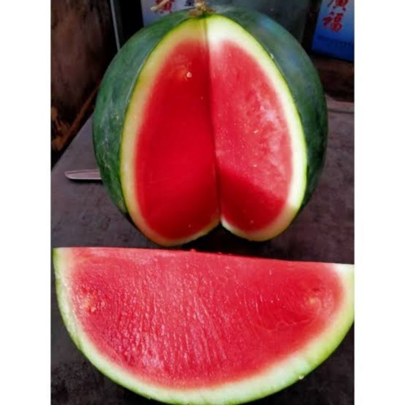 

Semangka Merah Non Biji