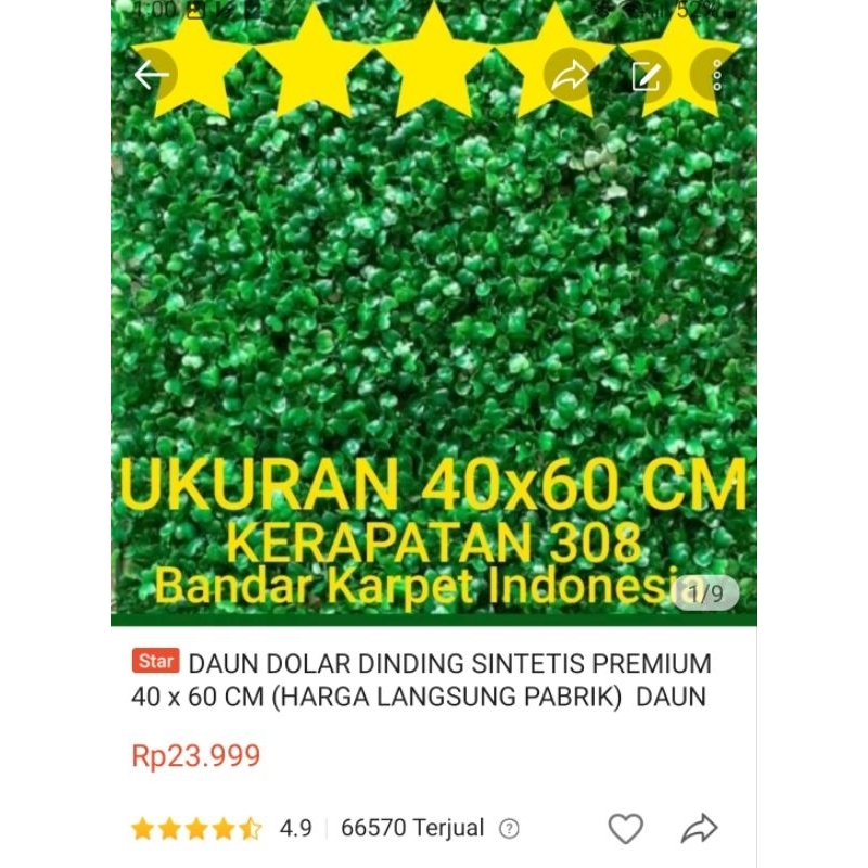 DAUN DOLAR DINDING SINTETIS PREMIUM 40 x 60 CM (HARGA LANGSUNG PABRIK)  DAUN RAMBAT DAUN DOLAR VERTIKAL GARDEN (BEST QUALITY and BEST DENSITY)