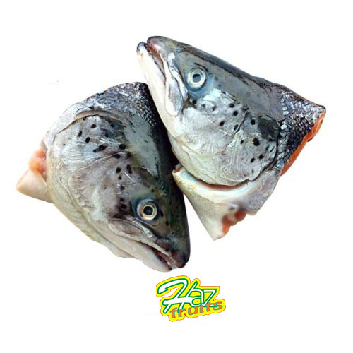 

Kepala Ikan Salmon 1 Pcs