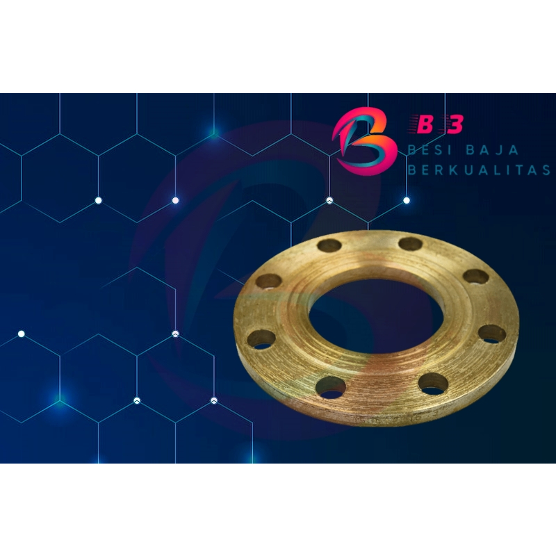 Flange Besi PN 16 NS 8 inch