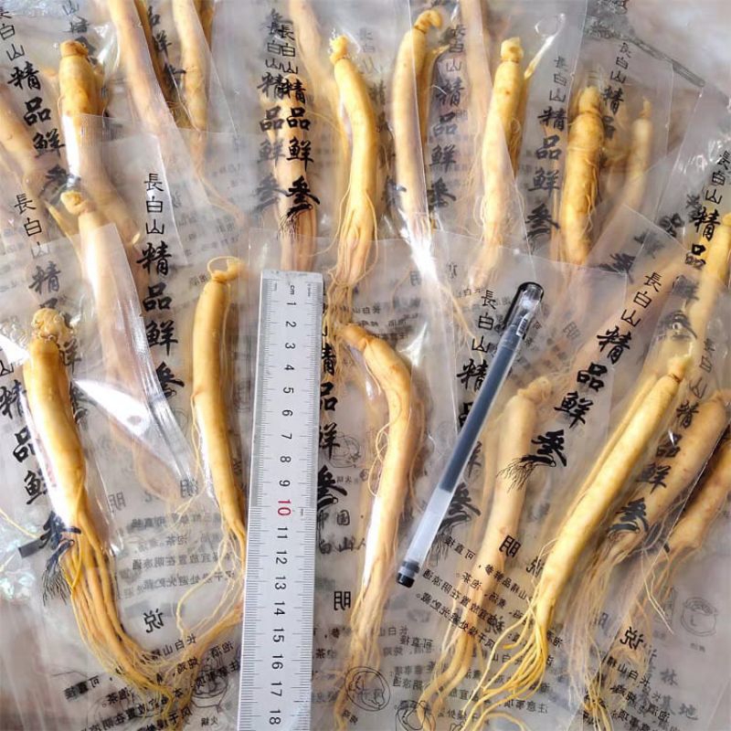 

Akar Ginseng Paket Hemat Isi 10 kemasan 30 Gram (cod)