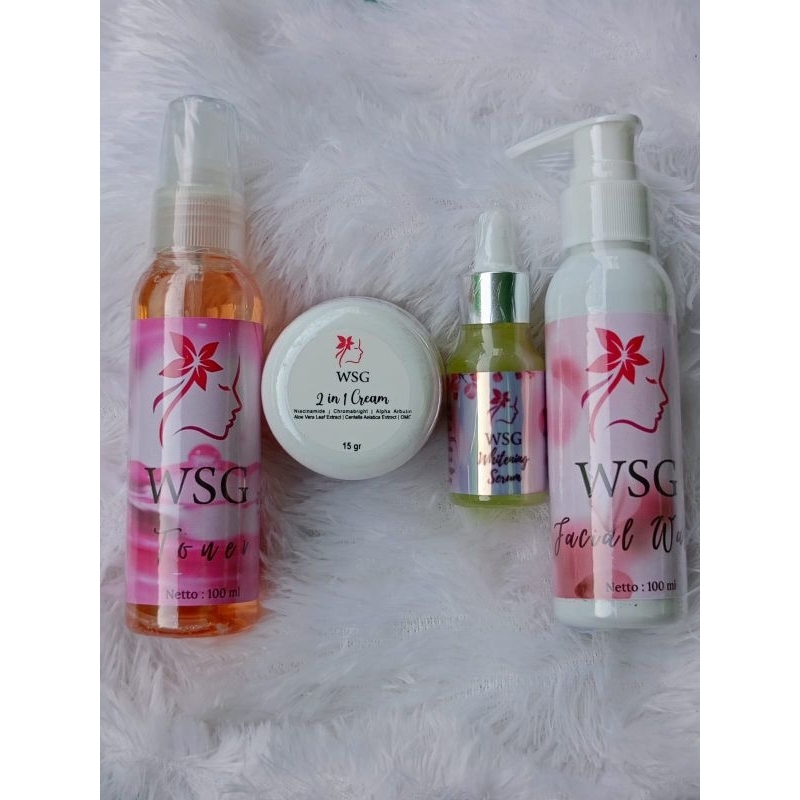 PAKET LENGKAP HEMAT WSG SKINCARE 15GR ( KRIM WSG 15 GR , SERUM , FW , TONER )