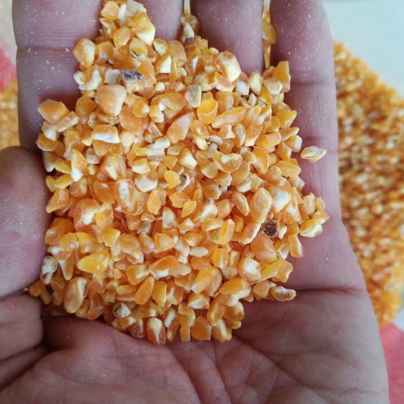 Makanan Ayam Burung Jagung Pecah 20kg Pakan Ayam Burung Merpati Unggas Siap Pakai