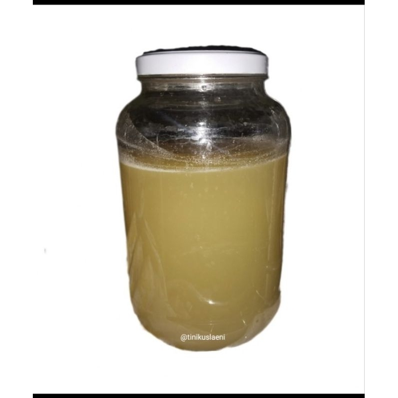 

Fermentasi Buah Nanas 100ml