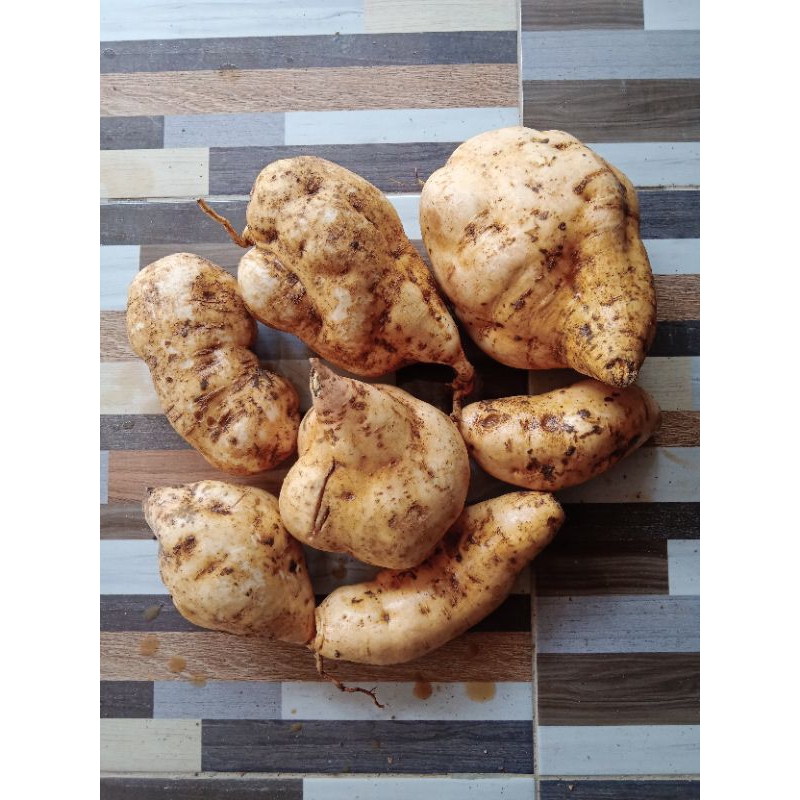 

Ubi Tela Madu Manohara dan Cilembu 1 kg