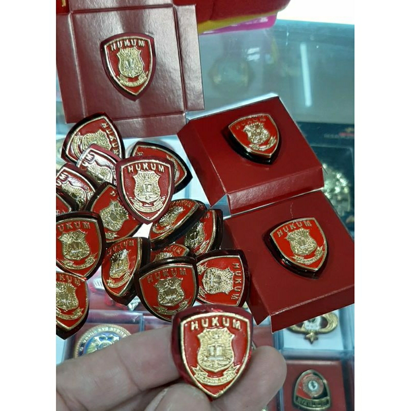 Pin Hukum