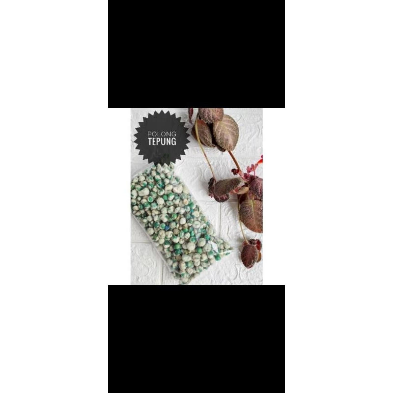 

kacang polong 100grm