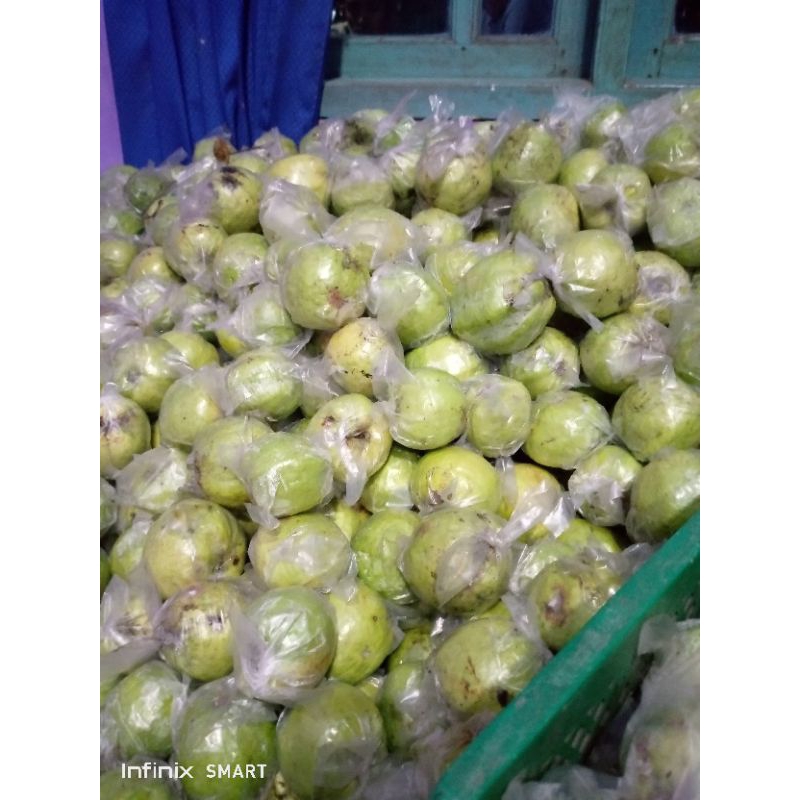 

jambu kristal