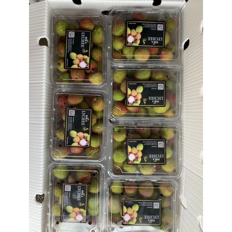 

Leci madu fresh / lychee fresh