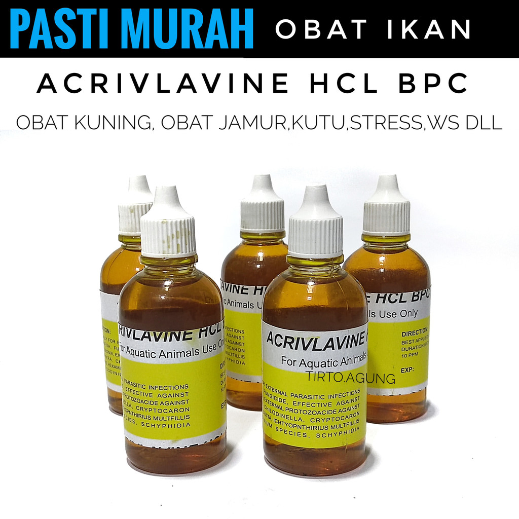 ORIGINAL ACRIFLAVINE HCL Blitz ICHT Blits ICH Blits Evian obat ikan Anti White Spot &amp; Jamur Itch