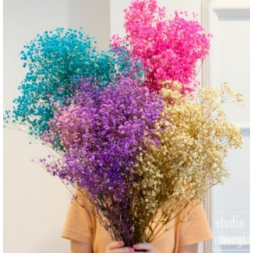 10GR Baby Breath Preseved | Dried Flower Baby Breath preseved | Bunga Kering Baby Breath Asli Dried 