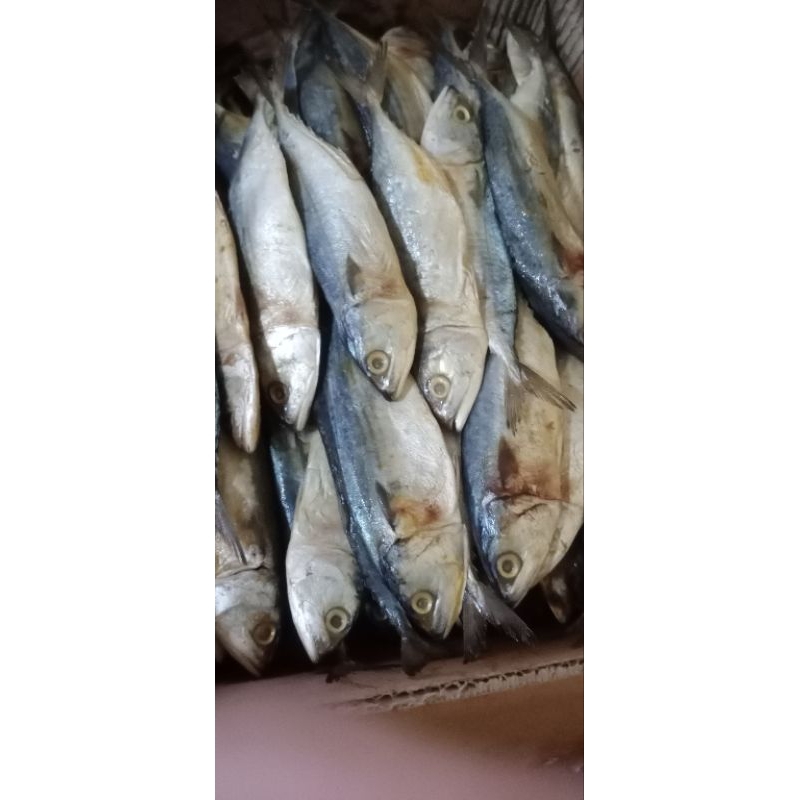 

Ikan Asin Peda Putih, 500 gram