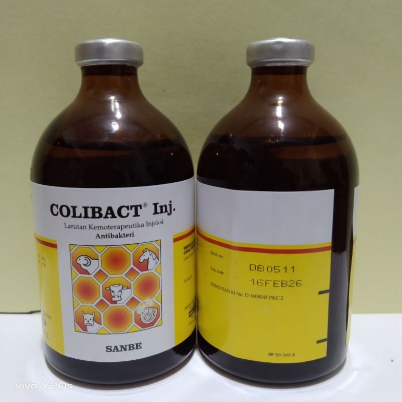 colibact inj 100ml