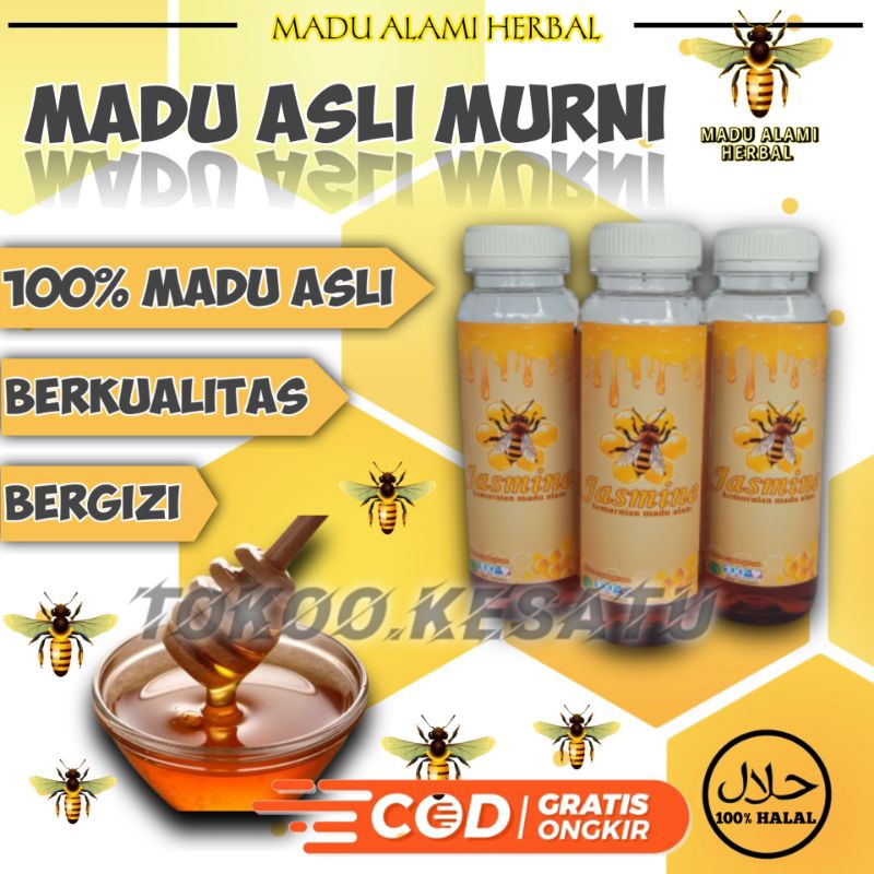 

Madu Murni Hutan Asli 100% Sumbawa Multiflora Minuman Herbal Obat Asam Lambung Maag isi 300gr Raw Honey