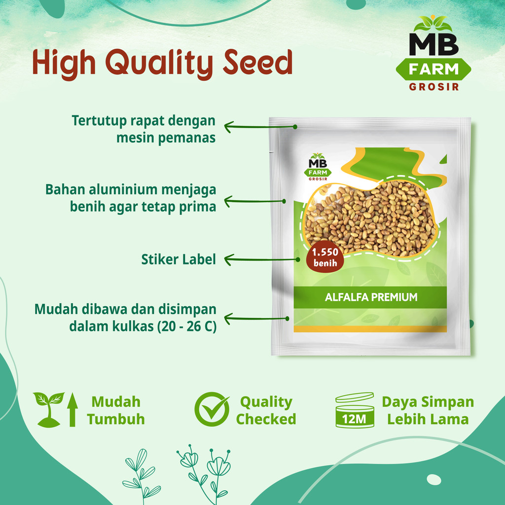 Benih alfalfa high quality 1550 biji / benih tanaman pakan ternak / bibit super alfalfa