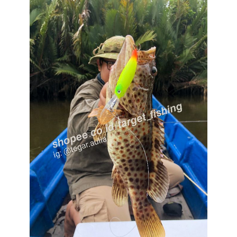 Minnow Lidah Panjang 10gr Umpan Casting Muara Bukan Puspita / Sotelo / Premium Dancer